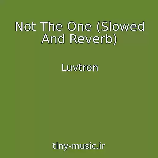 کاور آهنگ Not The One (Slowed And Reverb) از Luvtron