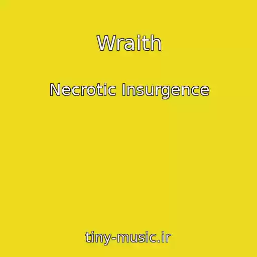 کاور آهنگ Wraith از Necrotic Insurgence