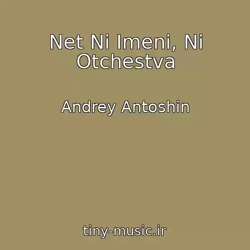 کاور آهنگ Net Ni Imeni, Ni Otchestva از Andrey Antoshin