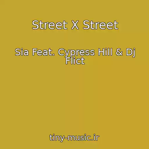 کاور آهنگ Street X Street از Sia Feat. Cypress Hill & Dj Flict
