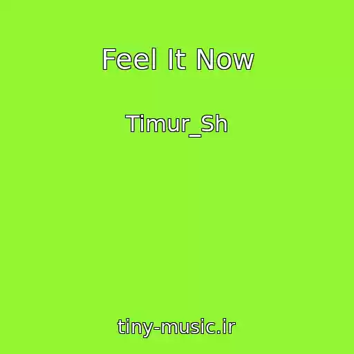 کاور آهنگ Feel It Now از Timur_Sh