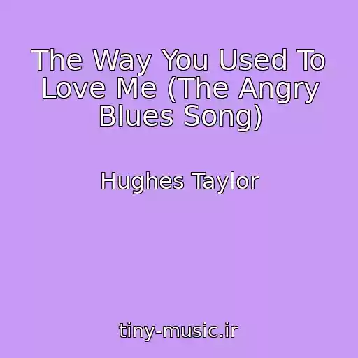 کاور آهنگ The Way You Used To Love Me (The Angry Blues Song) از Hughes Taylor