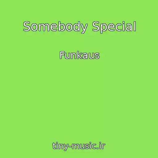 کاور آهنگ Somebody Special از Funkaus