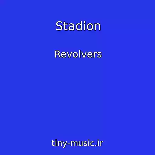 کاور آهنگ Stadion از Revolvers