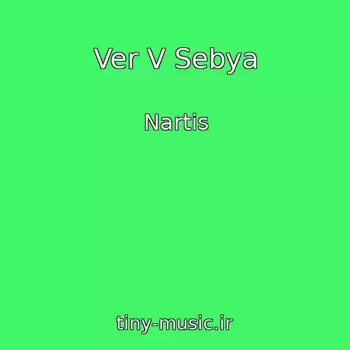 کاور آهنگ Ver V Sebya از Nartis