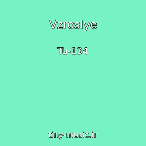 کاور آهنگ Vzroslye از Tu-134