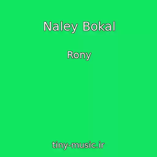 کاور آهنگ Naley Bokal از Rony