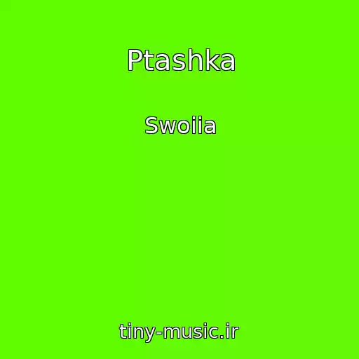 کاور آهنگ Ptashka از Swoiia