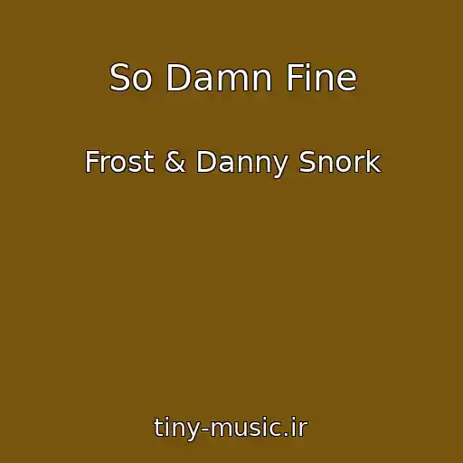 کاور آهنگ So Damn Fine از Frost & Danny Snork