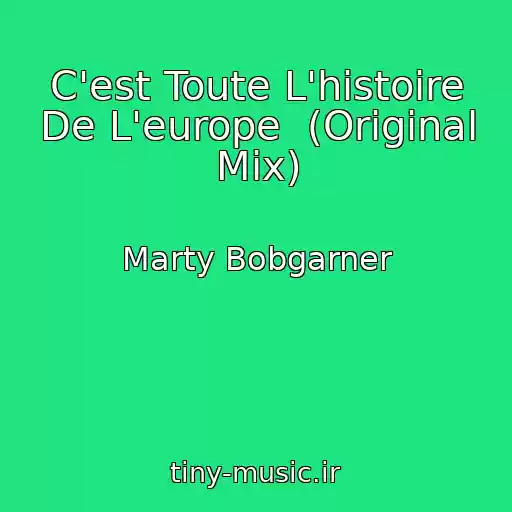کاور آهنگ C'est Toute L'histoire De L'europe  (Original Mix) از Marty Bobgarner