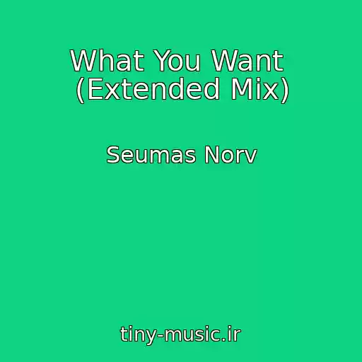 کاور آهنگ What You Want  (Extended Mix) از Seumas Norv