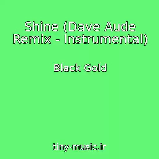 کاور آهنگ Shine (Dave Aude Remix - Instrumental) از Black Gold
