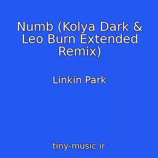 کاور آهنگ Numb (Kolya Dark & Leo Burn Extended Remix) از Linkin Park