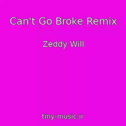 کاور آهنگ Can't Go Broke Remix از Zeddy Will