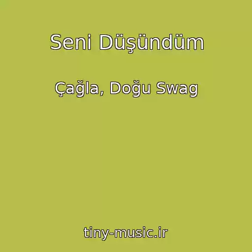 کاور آهنگ Seni Düşündüm از Çağla, Doğu Swag