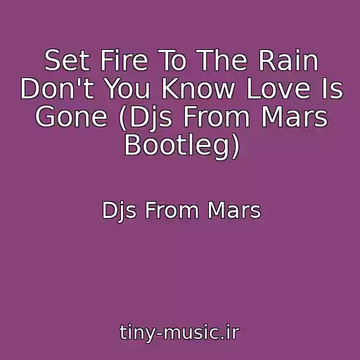 کاور آهنگ Set Fire To The Rain Don't You Know Love Is Gone (Djs From Mars Bootleg) از Djs From Mars