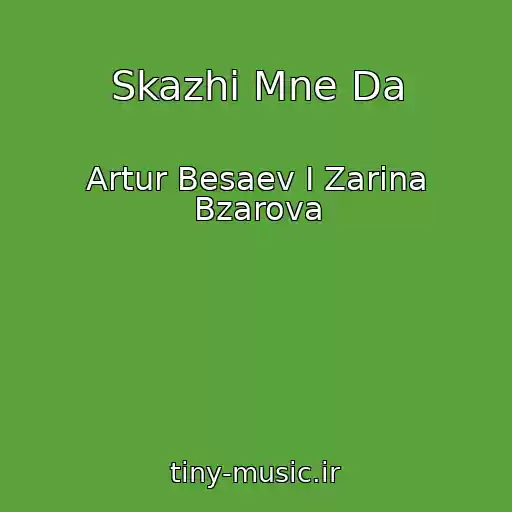 کاور آهنگ Skazhi Mne Da از Artur Besaev I Zarina Bzarova