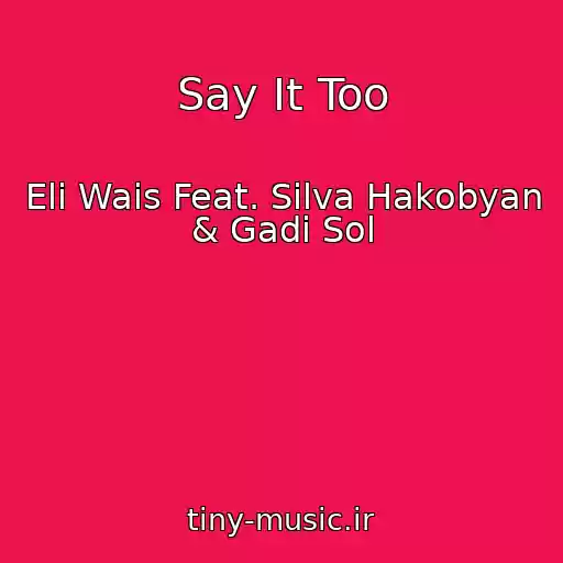 کاور آهنگ Say It Too از Eli Wais Feat. Silva Hakobyan & Gadi Sol