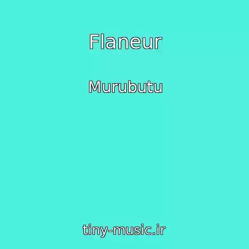 کاور آهنگ Flaneur از Murubutu
