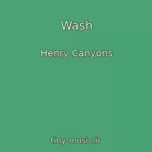 کاور آهنگ Wash از Henry Canyons