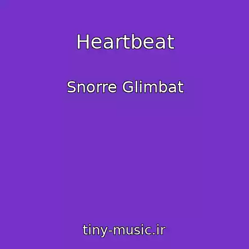 کاور آهنگ Heartbeat از Snorre Glimbat