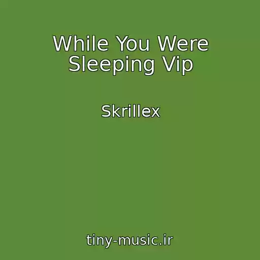 کاور آهنگ While You Were Sleeping Vip از Skrillex