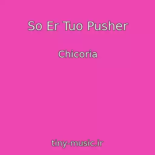 کاور آهنگ So Er Tuo Pusher از Chicoria