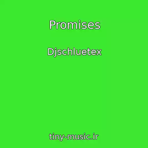 کاور آهنگ Promises از Djschluetex