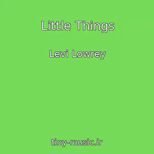 کاور آهنگ Little Things از Levi Lowrey