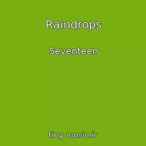 کاور آهنگ Raindrops از Seventeen