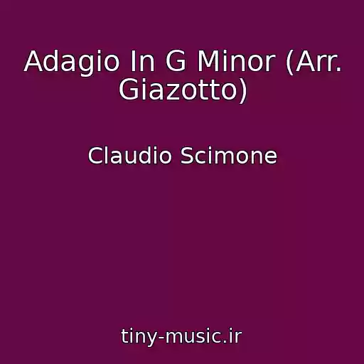 کاور آهنگ Adagio In G Minor (Arr. Giazotto) از Claudio Scimone