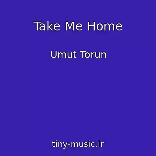 کاور آهنگ Take Me Home از Umut Torun