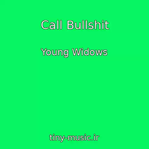 کاور آهنگ Call Bullshit از Young Widows