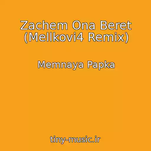 کاور آهنگ Zachem Ona Beret (Mellkovi4 Remix) از Memnaya Papka