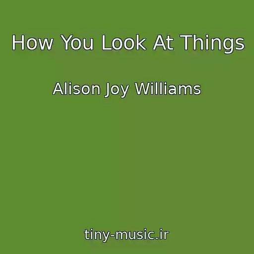 کاور آهنگ How You Look At Things از Alison Joy Williams