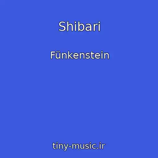 کاور آهنگ Shibari از Fünkenstein