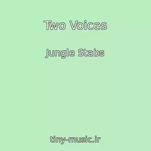کاور آهنگ Two Voices از Jungle Stabs