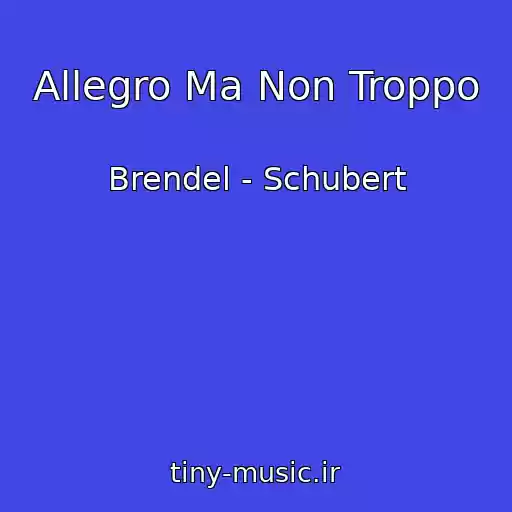 کاور آهنگ Allegro Ma Non Troppo از Brendel - Schubert