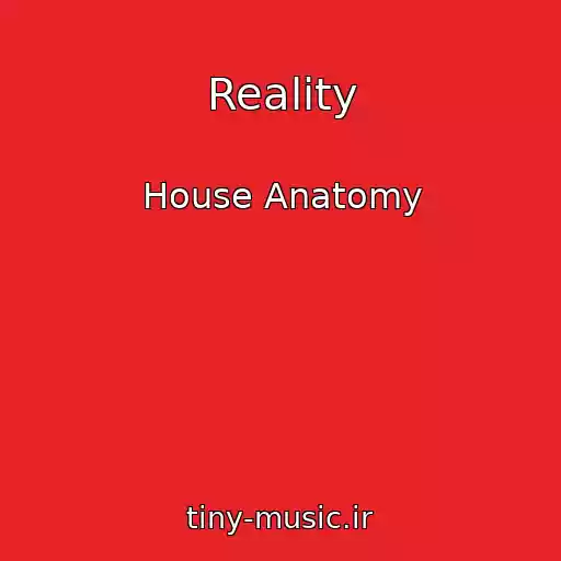 کاور آهنگ Reality از House Anatomy