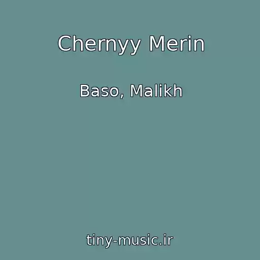 کاور آهنگ Chernyy Merin از Baso, Malikh