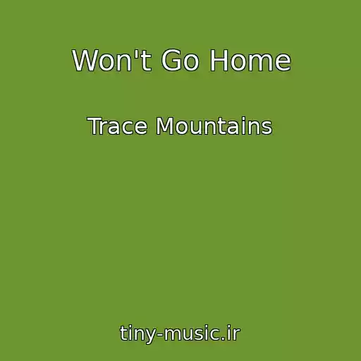 کاور آهنگ Won't Go Home از Trace Mountains