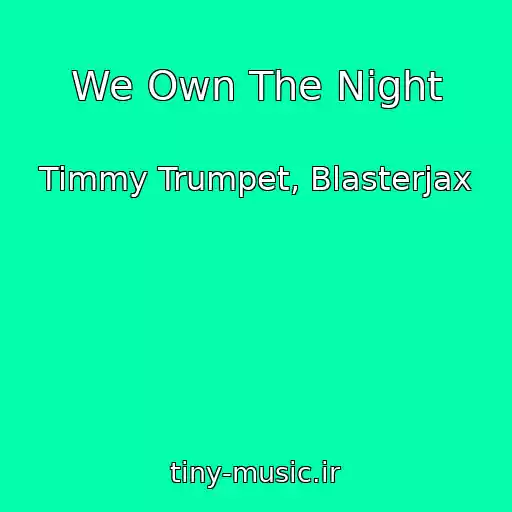 کاور آهنگ We Own The Night از Timmy Trumpet, Blasterjax