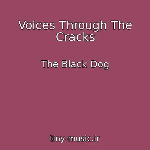 کاور آهنگ Voices Through The Cracks از The Black Dog