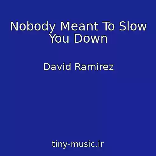 کاور آهنگ Nobody Meant To Slow You Down از David Ramirez