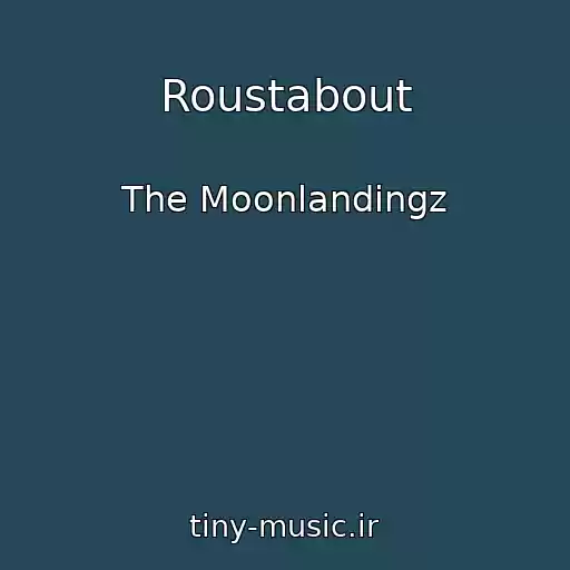 کاور آهنگ Roustabout از The Moonlandingz