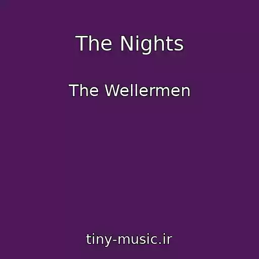 کاور آهنگ The Nights از The Wellermen