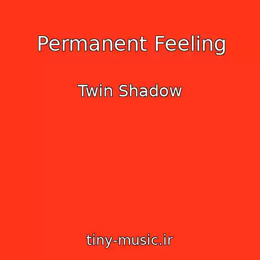 کاور آهنگ Permanent Feeling از Twin Shadow
