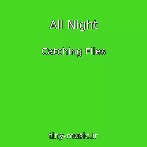 کاور آهنگ All Night از Catching Flies