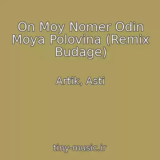 کاور آهنگ On Moy Nomer Odin Moya Polovina (Remix Budage) از Artik, Asti