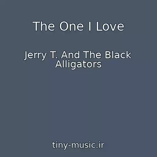 کاور آهنگ The One I Love از Jerry T. And The Black Alligators